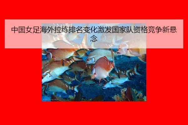 中国女足海外拉练排名变化激发国家队资格竞争新悬念